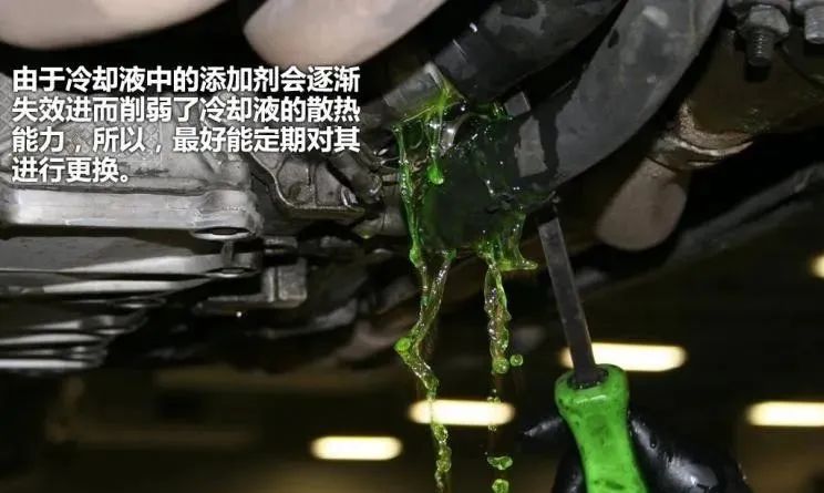 1717470149369629.jpg 微信圖片_20240604110221.jpg